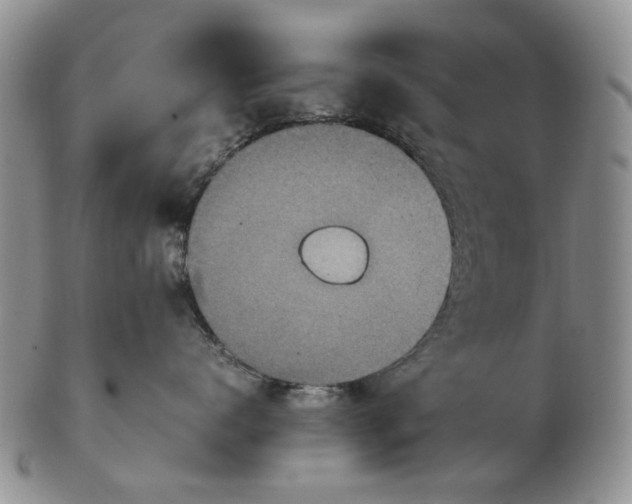 X0000103160672200809051701