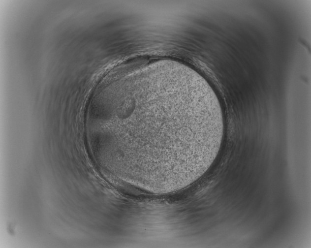 X0000103160673200809051700