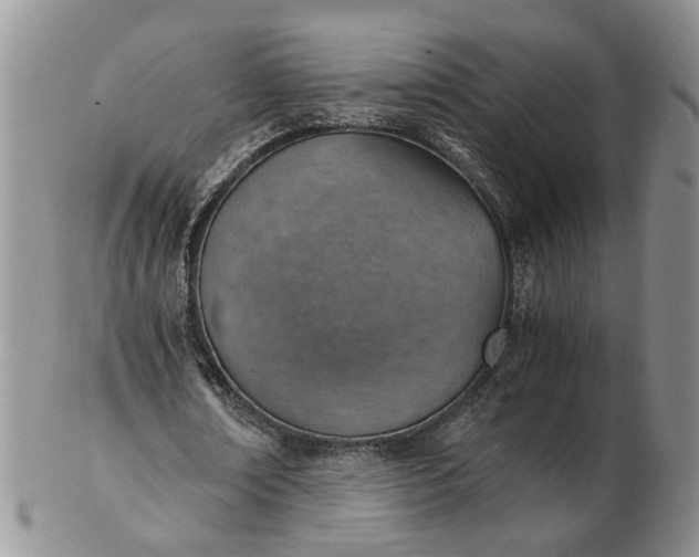 X0000103160674200809051700