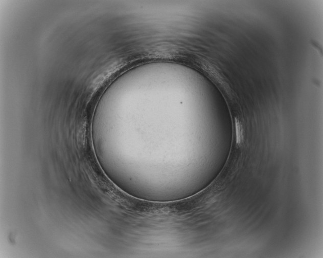 X0000103160675200809051700