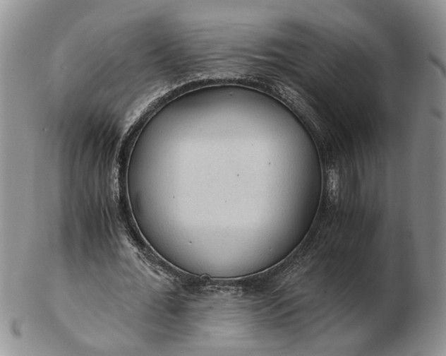 X0000103160676200809051700