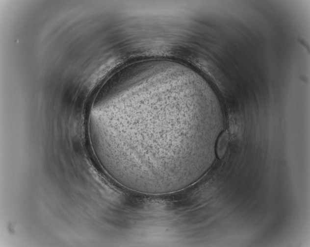 X0000103160677200809051700