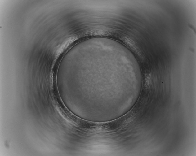 X0000103160678200809051700