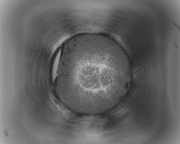 X0000103160679200809051700