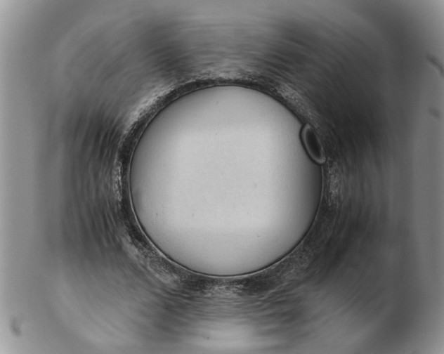 X0000103160680200809051700