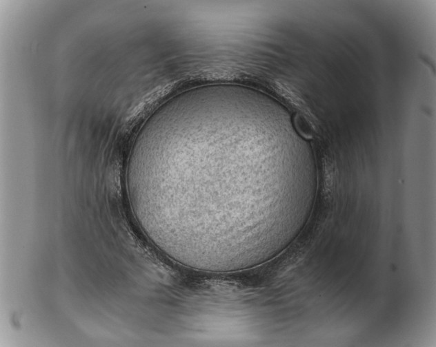 X0000103160681200809051700