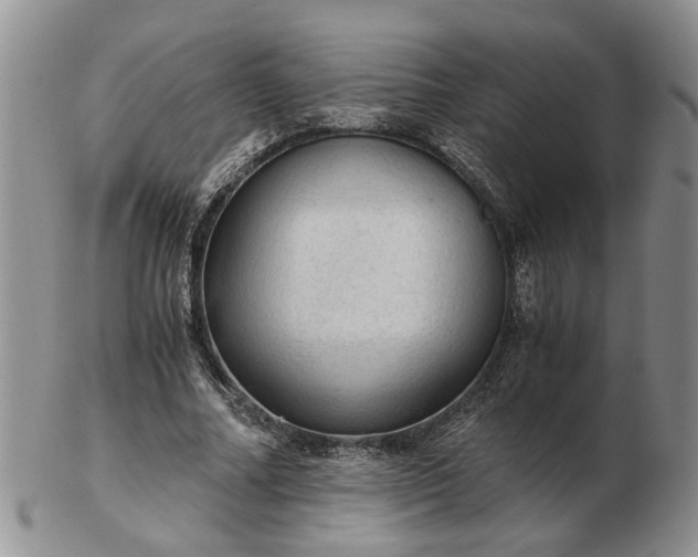 X0000103160682200809051700