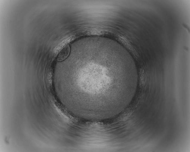 X0000103160683200809051700