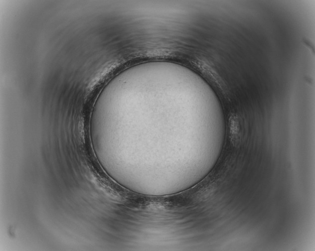 X0000103160684200809051700