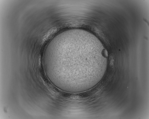 X0000103160685200809051700