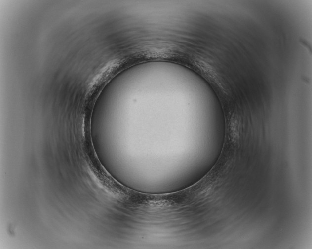 X0000103160686200809051700