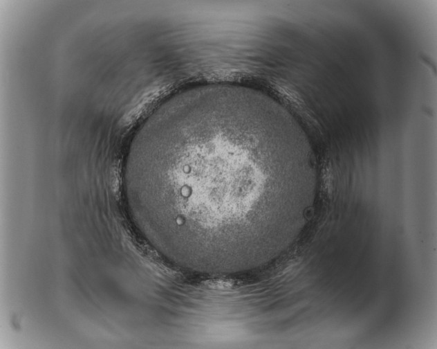 X0000103160687200809051700