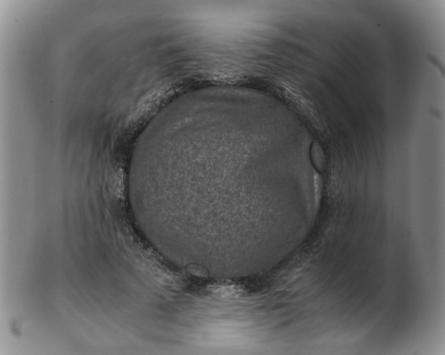 X0000103160689200809051700