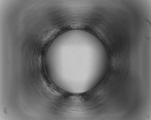 X0000103160690200809051700