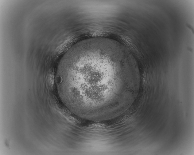 X0000103160691200809051700