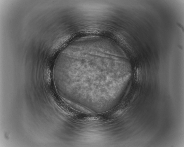 X0000103160692200809051700