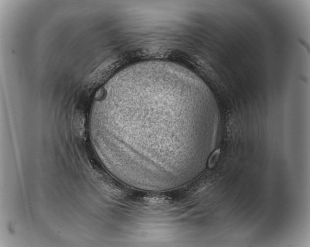 X0000103160693200809051700