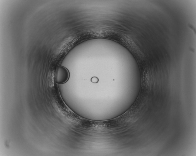 X0000103160694200809051700