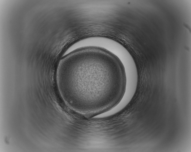 X0000103160695200809051700