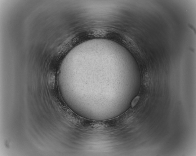 X0000103160697200809051700