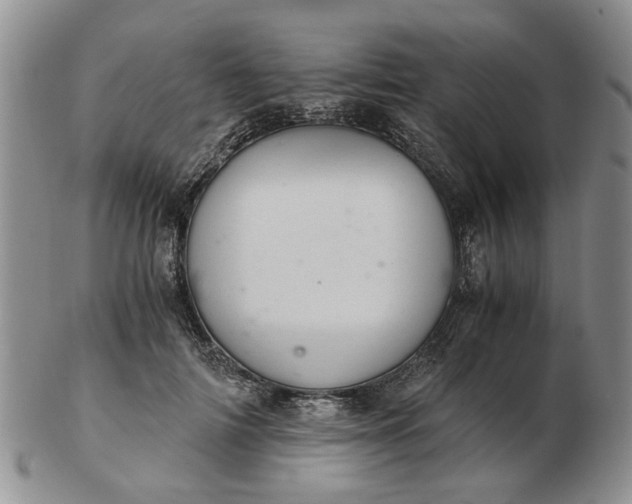 X0000103160698200809051700