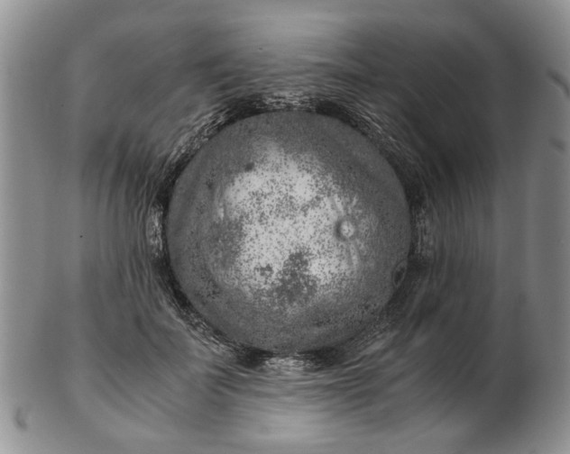 X0000103160699200809051659