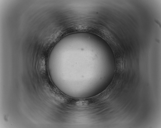 X0000103160700200809051659