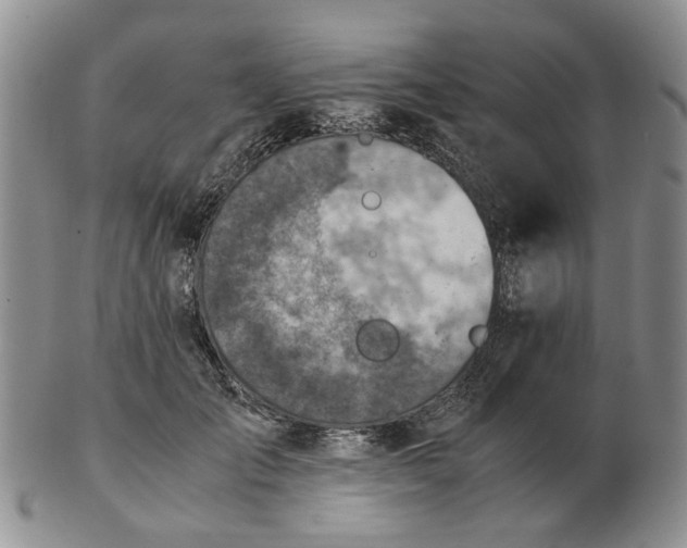 X0000103160701200809051659