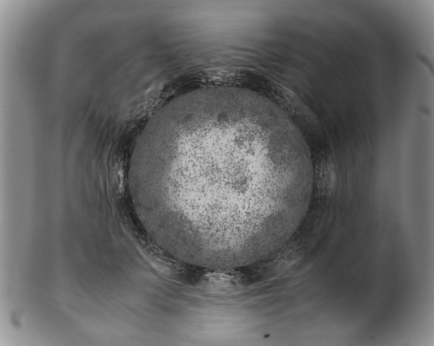 X0000103160703200809051659