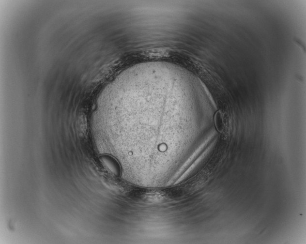 X0000103160704200809051659