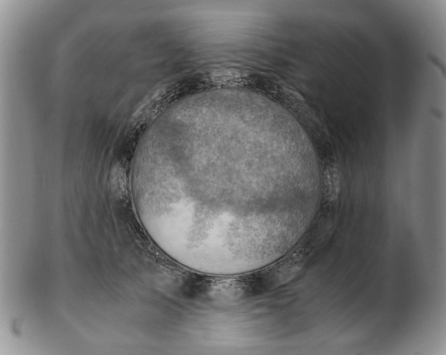 X0000103160705200809051659