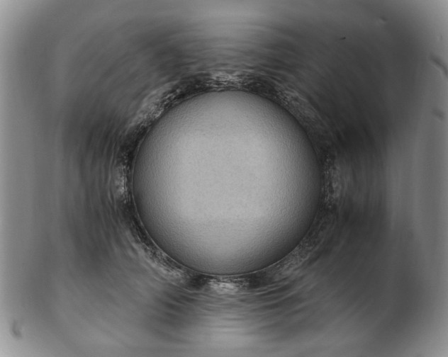 X0000103160706200809051659