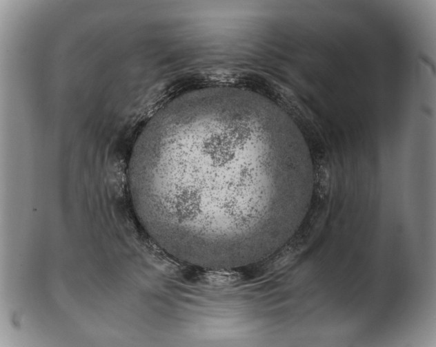 X0000103160707200809051659