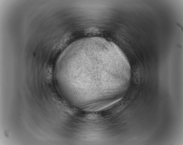 X0000103160708200809051659