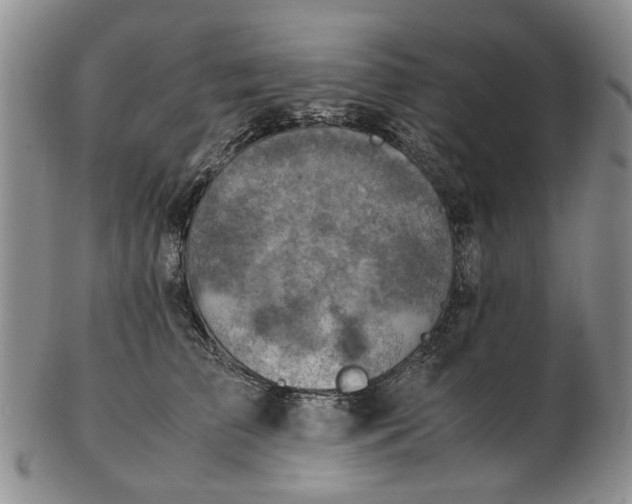 X0000103160709200809051659