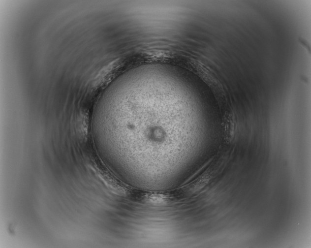 X0000103160710200809051659