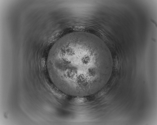 X0000103160711200809051659