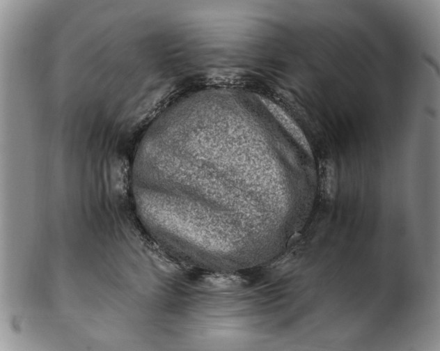 X0000103160712200809051659