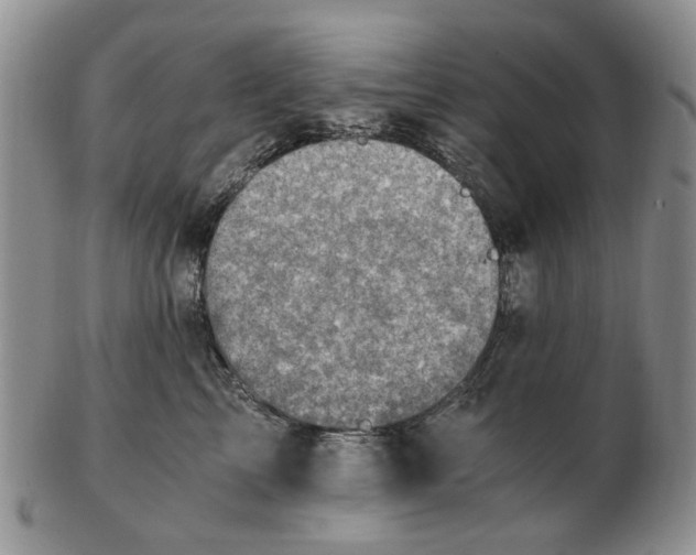 X0000103160713200809051659