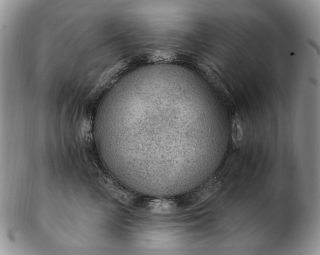 X0000103160714200809051659