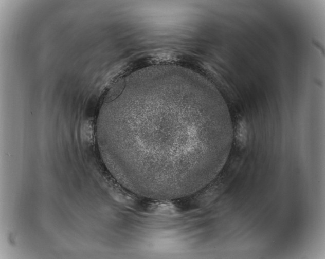 X0000103160715200809051659