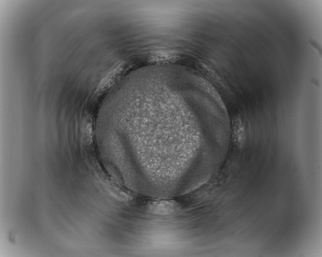 X0000103160716200809051659