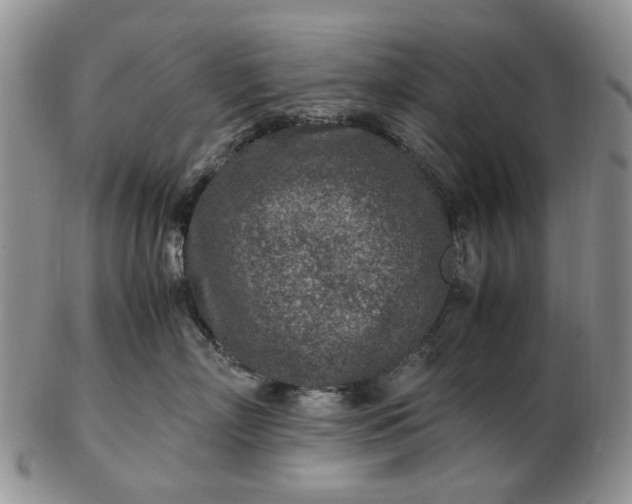 X0000103160718200809051659