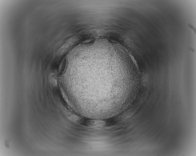 X0000103160719200809051659