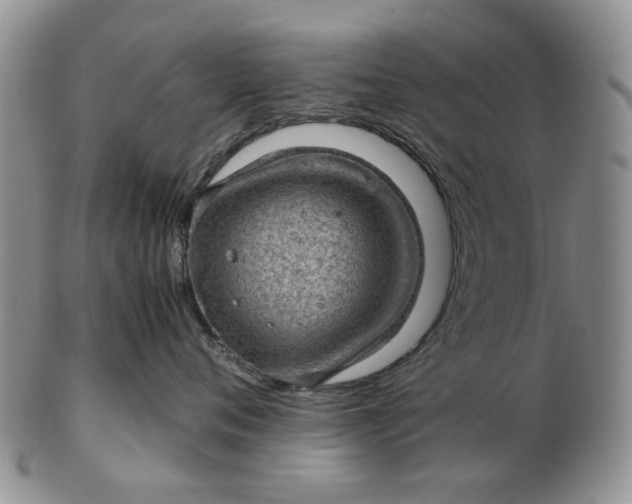 X0000103160720200809051659