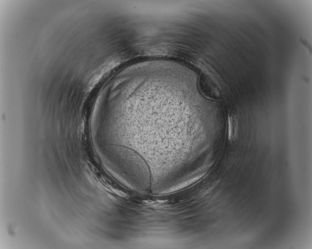 X0000103160723200809051659