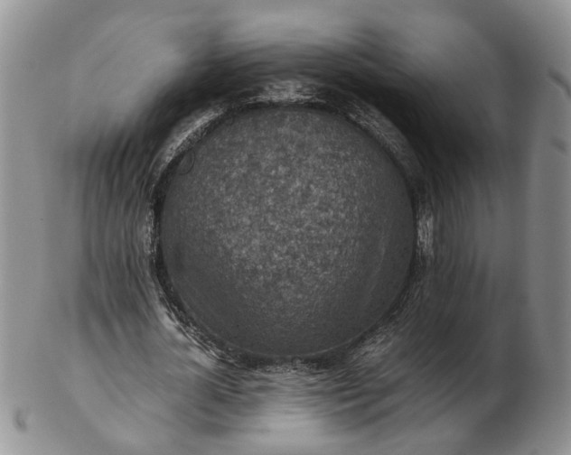 X0000103160724200809051659