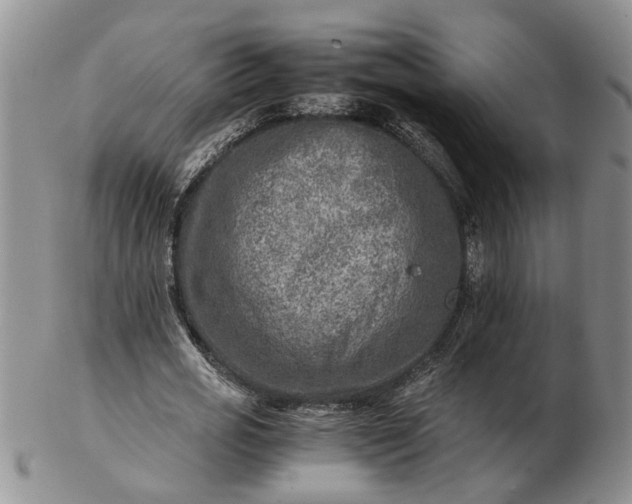 X0000103160725200809051659