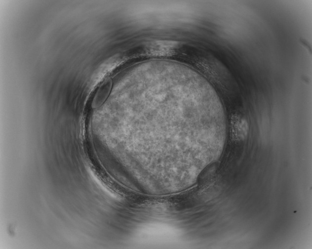 X0000103160726200809051659