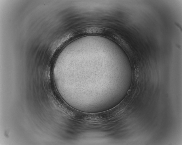 X0000103160727200809051659